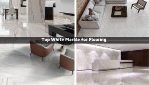 Read more about the article Top 7 White Marble for Flooring from Shree Ram Stones