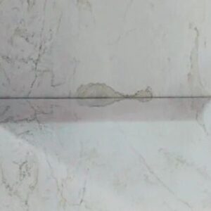 Indian Michelangelo Marble